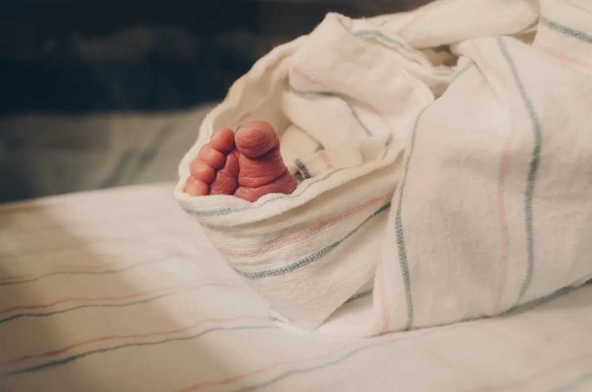Фото: Kelly Sikkema / Unsplash