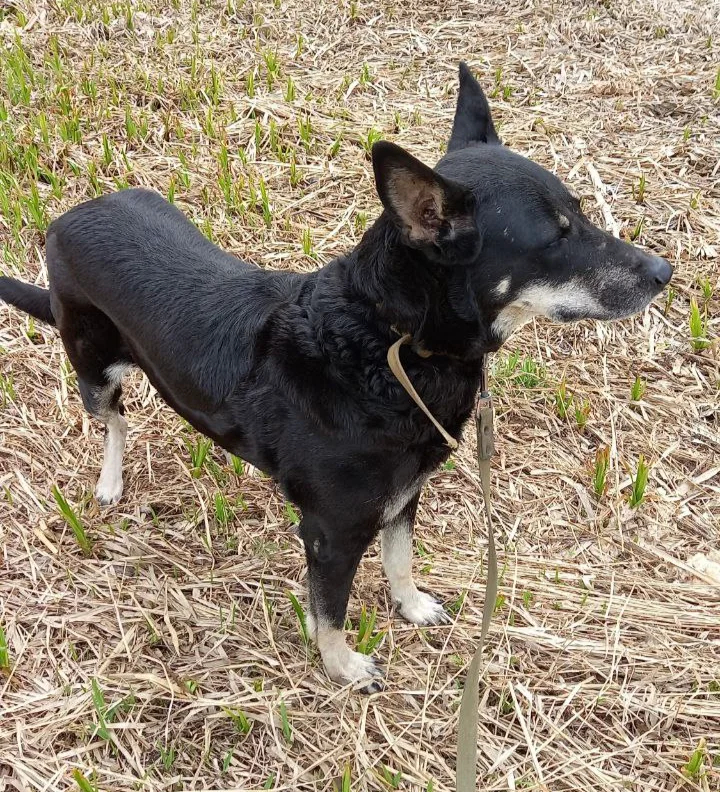 63786b711d6b4e03b18338ab9a6669f9.webp
