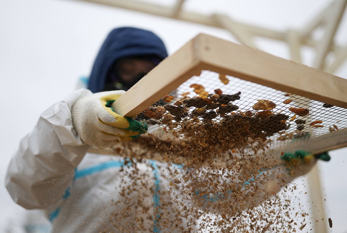 Доброволец участвует в ликвидации последствий экологической катастрофы у берегов Анапы, Краснодарский край, Россия. Фото: Виталий Тимкив / Sputnik / IMAGO / SNA / Scanpix / LETA