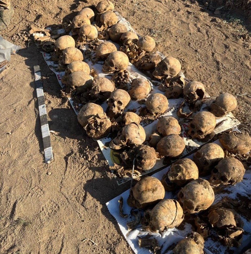 Обнаруженные после распашки поля кости в хуторе Новомаксимовском. Фото:  Блокнот Волгоград