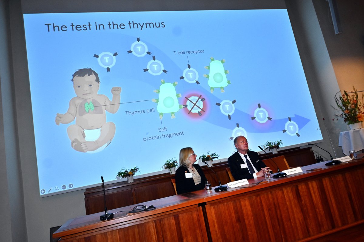 Члены Нобелевского комитета объявляют лауреатов Нобелевской премии по физиологии и медицине 2025 года — Мэри Брункоу, Фреда Рамсделла и Шимона Сакагучи, Стокгольм, Швеция, 6 октября 2025 года. Фото: Claudio Bresciani / EPA