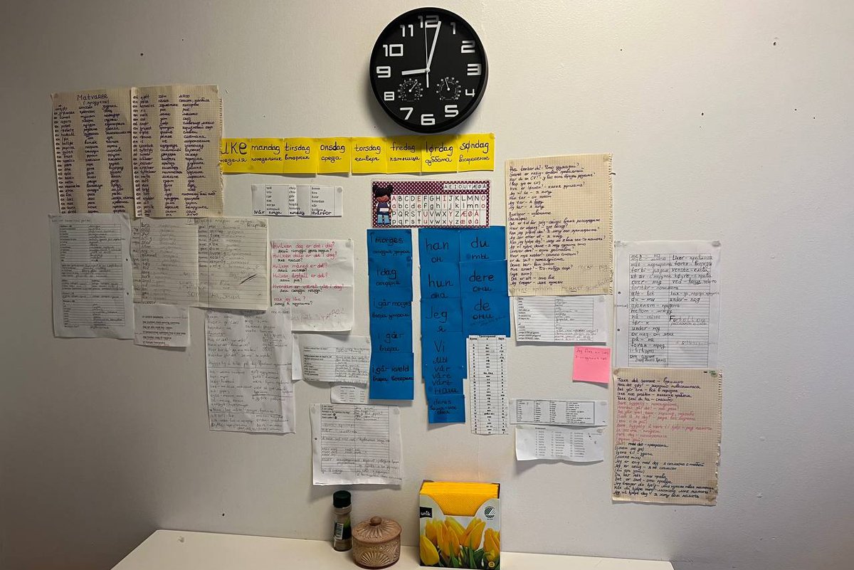 Стикеры с норвежскими словами над кухонным столом в съемной квартире семьи Бойко. Фото: Ирина Кравцова