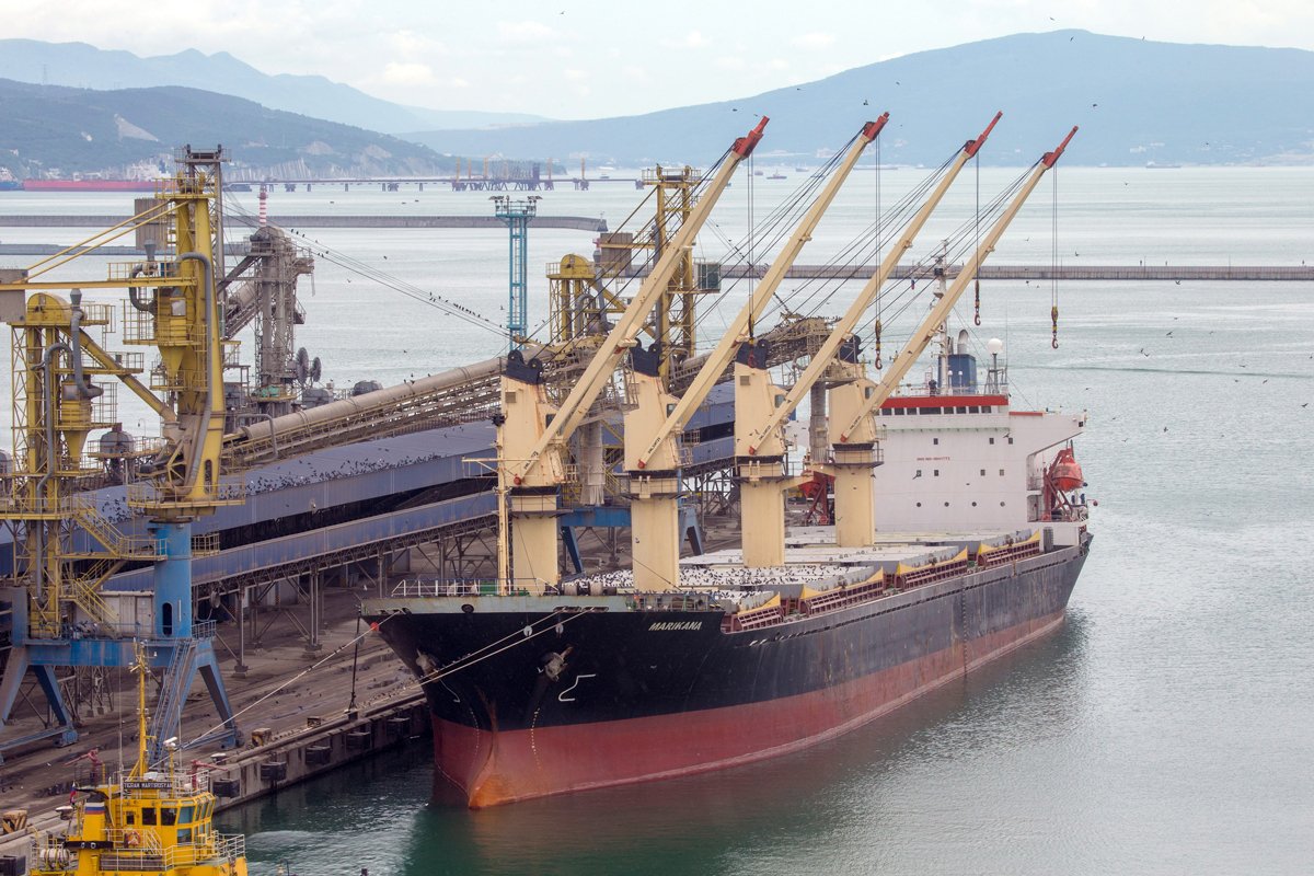 Балкер у причала глубоководного зернового терминала в морском порту Новороссийска, 2016 год. Фото: Василий Шитов / Коммерсантъ / Sipa USA / Vida Press