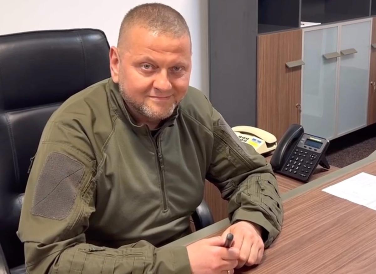 Валерий Залужный. Фото: скрин  видео