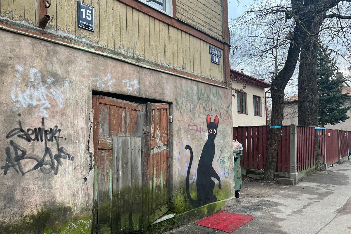 Граффити кота на улице Ропажу. Фото: «Новая-Европа»